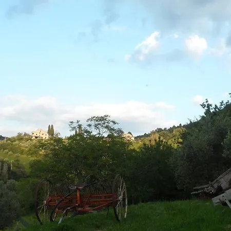 Gospodarstwo wiejskie Il Gelso Assisi Piano Delle Pieve