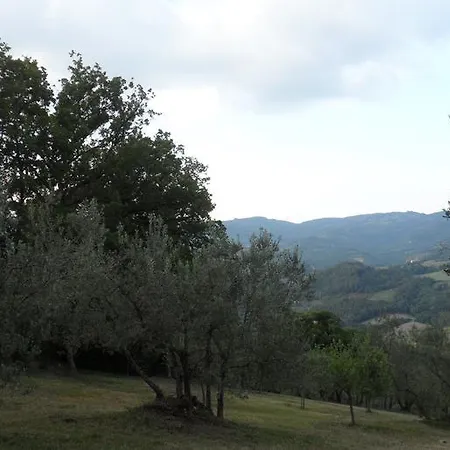 Il Gelso Assisi Piano Delle Pieve