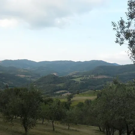 Il Gelso Assisi Piano Delle Pieve