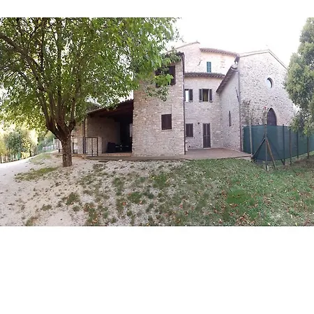Il Gelso Assisi