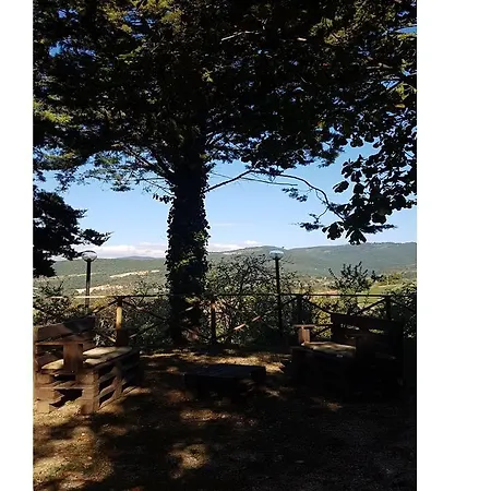 Il Gelso Assisi Piano Delle Pieve