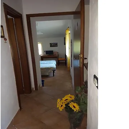 Gospodarstwo wiejskie Il Gelso Assisi *