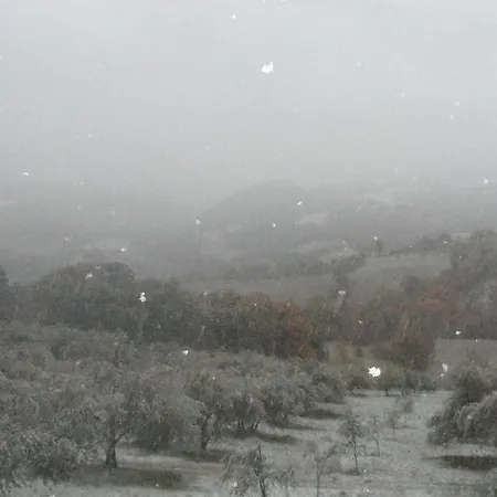 Il Gelso Assisi Piano Delle Pieve